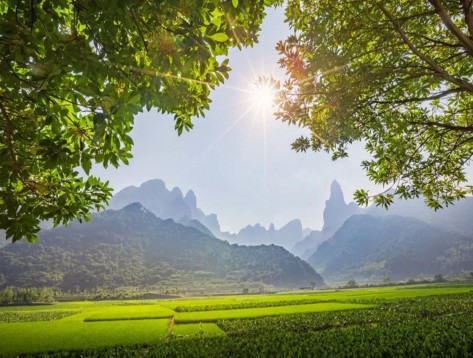 Cẩm nang 8 phương pháp dưỡng sinh cổ truyền – Bí quyết sống khỏe và trường thọ